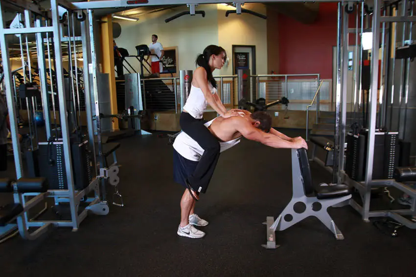The Stubborn Mule Calf Press