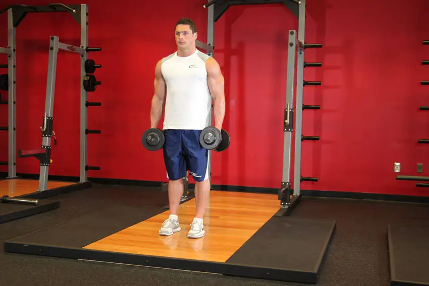 The Twin Weight Arm Curl Carnival