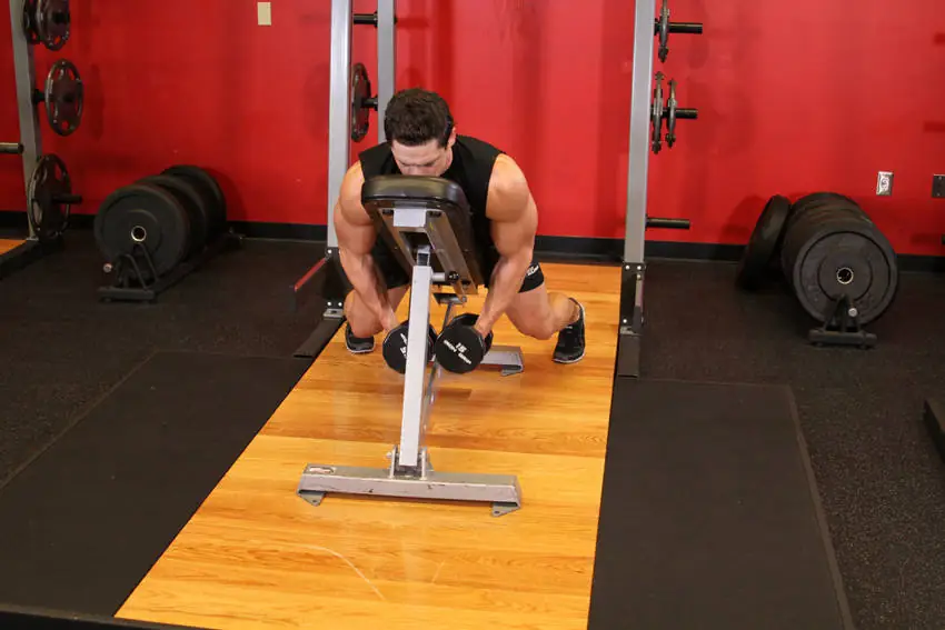 The Horizontal Bird Impression with Double Iron