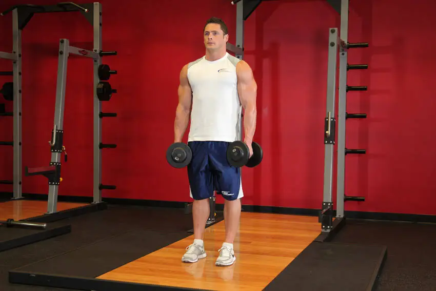 The Shoulder Hoist: Elevator Goes Up