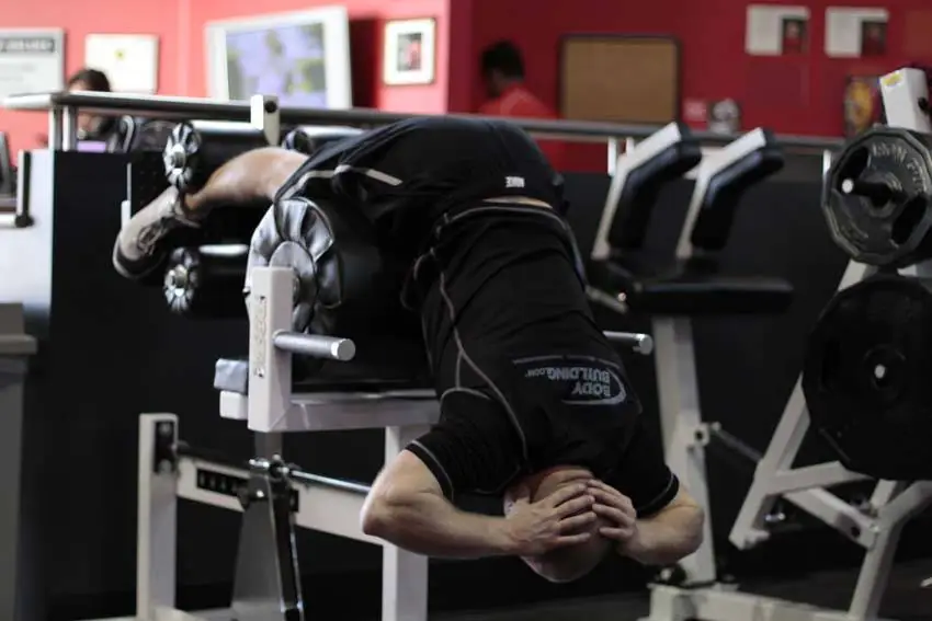 The Posterior Chain Roller Coaster